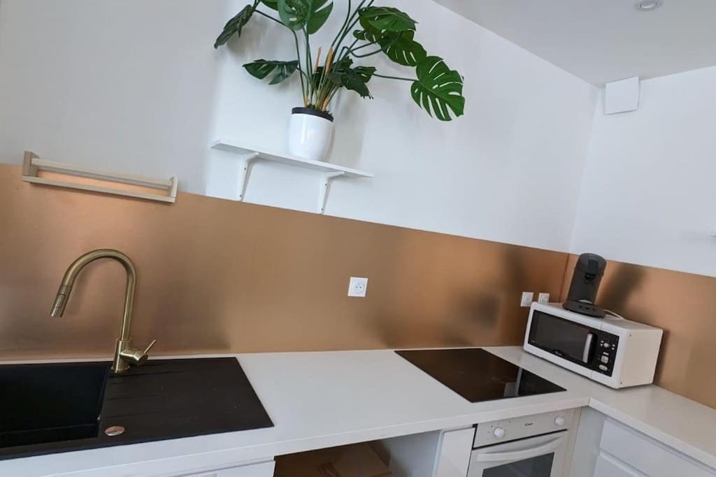 Cosy Queen -3Ch- Centre Ville & Parking Privee - Wifi Haut Debit Pau Buitenkant foto